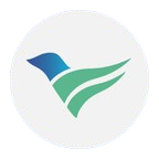Termii